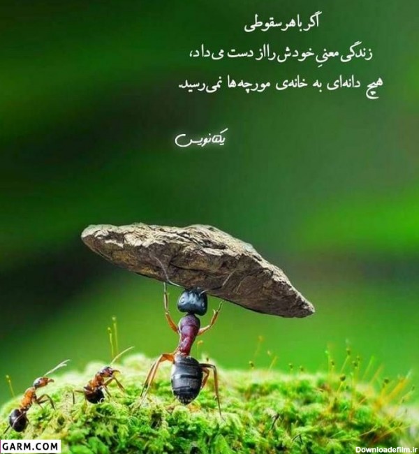 عکس نوشته ی معنی دار برای پروفایل