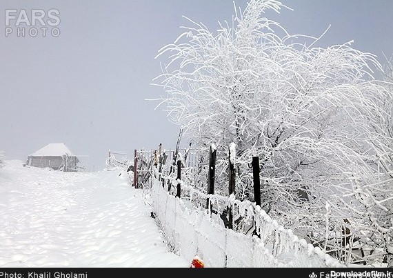 عکس از طبیعت زمستانی گیلان