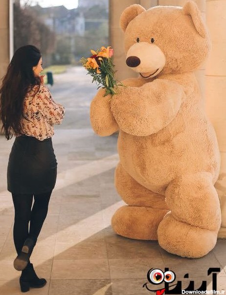 عکس خرس برای پروفایل