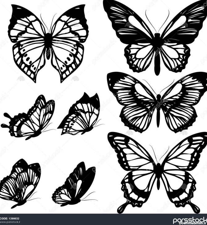 عکس پروانه سیاه سفید