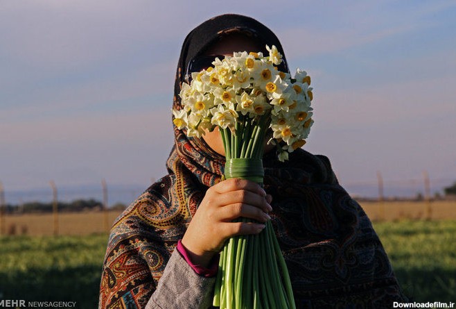 عکس دختر با حجاب با گل نرگس