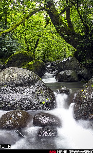 عکس طبیعت زیبای شمال