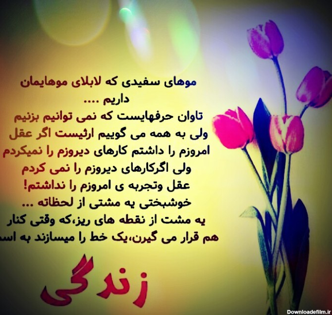 عکس نوشته موهای سفیدی که