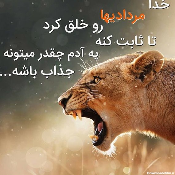 عکس تولد مرداد ماهی پسرونه