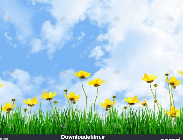 عکس چمن برای ادیت