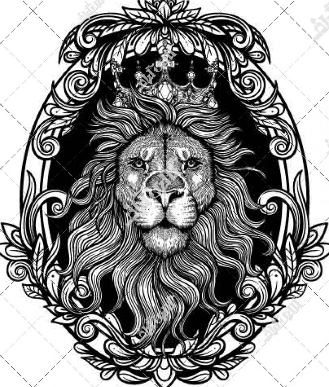 عکس شیر خورشید برای تاتو