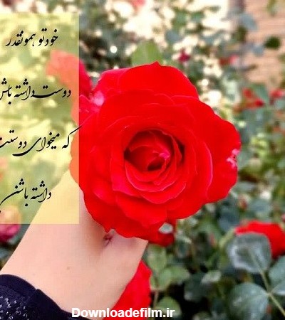 عکس گل و نوشته زیبا