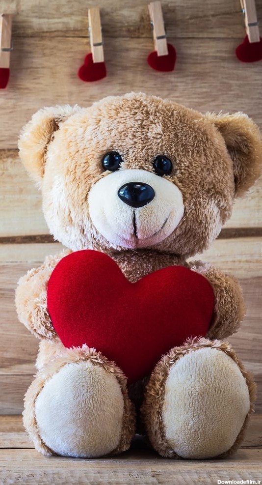 عکس خرس ولنتاین
