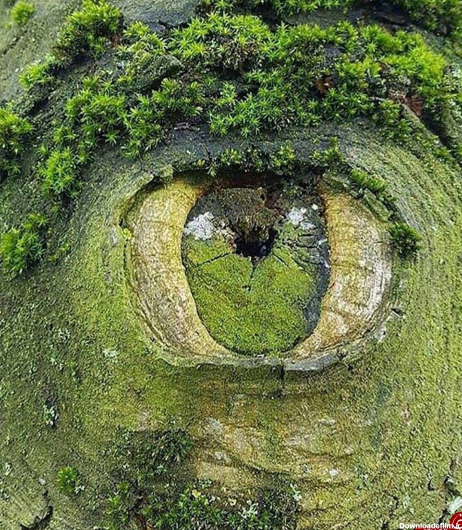 عکس چشم طبیعت