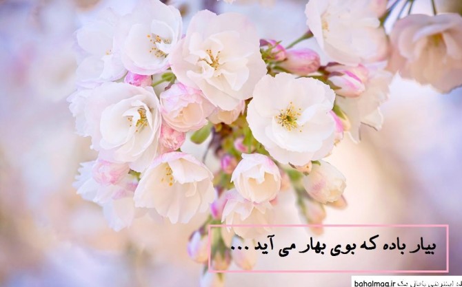 عکس بهاری عید