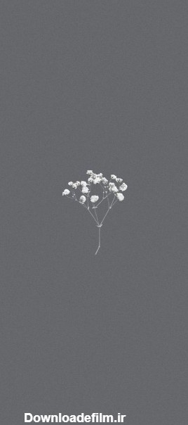 عکس خاکستری کیوت