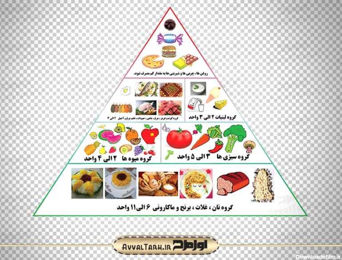 عکس نقاشی هرم غذایی