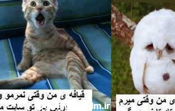 عکس های طنز و جالب