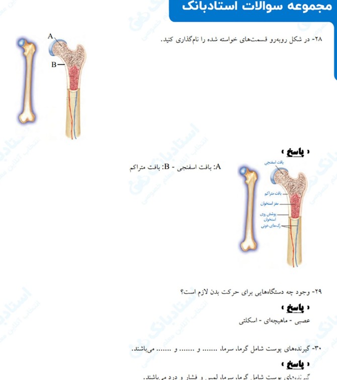 عکس های کتاب علوم هشتم فصل 5