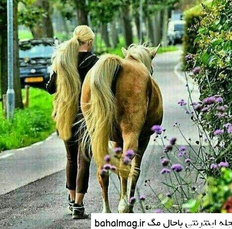 عکس های جالب