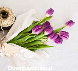 عکس چمن برای ادیت