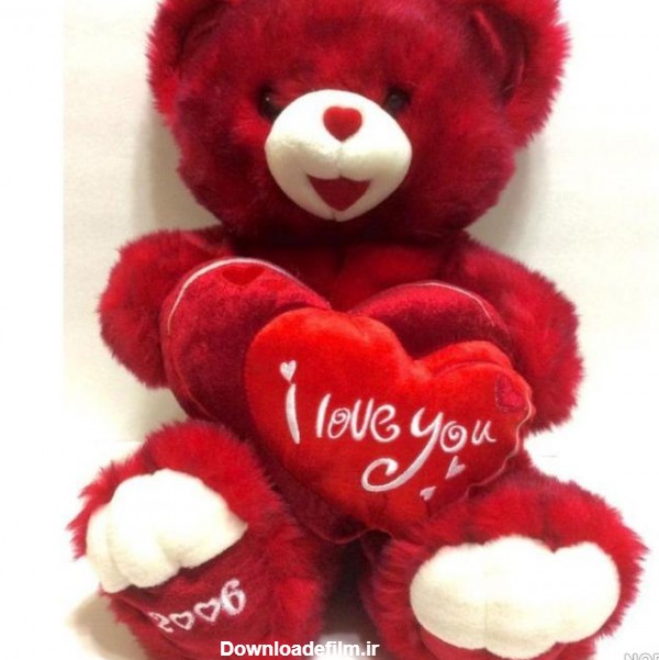 عکس خرس ولنتاین