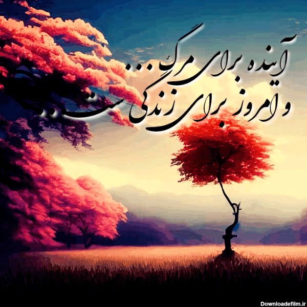 عکس نوشته زندگی خصوصی