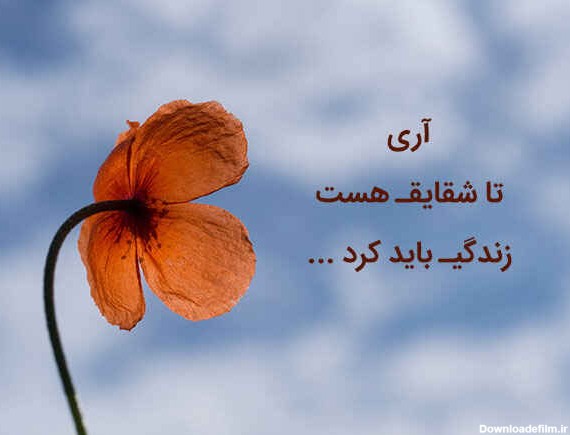 عکس نوشته های زیبا از سهراب سپهری