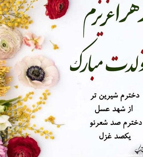 عکس تولد دختر زهرا