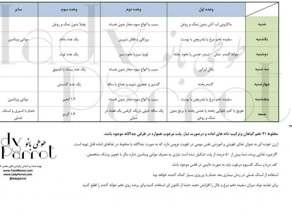 عکس برنامه غذایی عروس هلندی