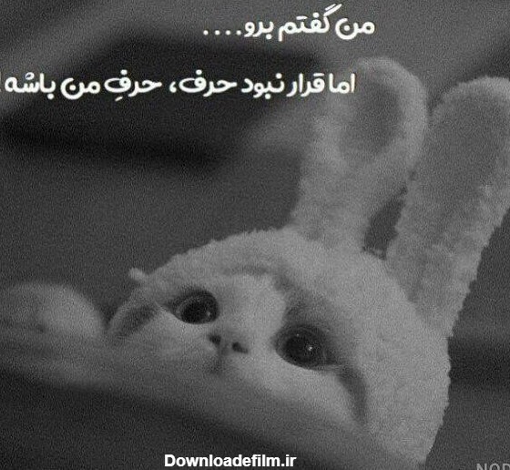 عکس پروفایل طوسی ساده