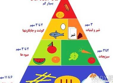 عکس از نقاشی هرم غذایی