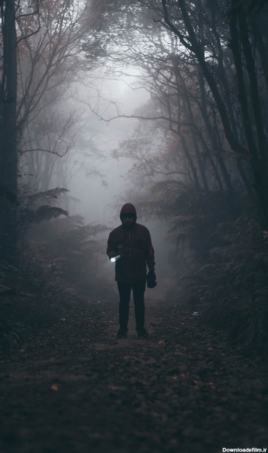 عکس پروفایل جنگل دخترانه