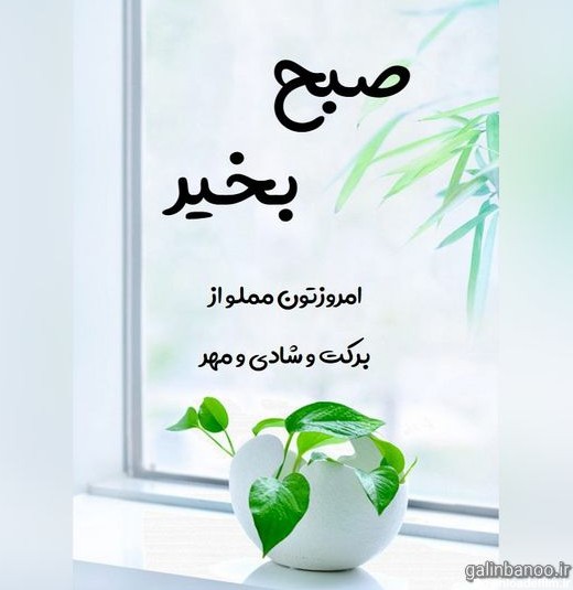 تصاویر زیبا برای صبح بخیر