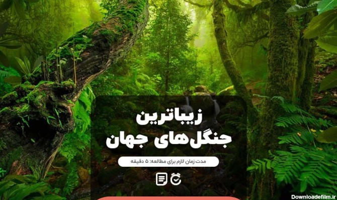 عکس طبیعت جنگل زیبا