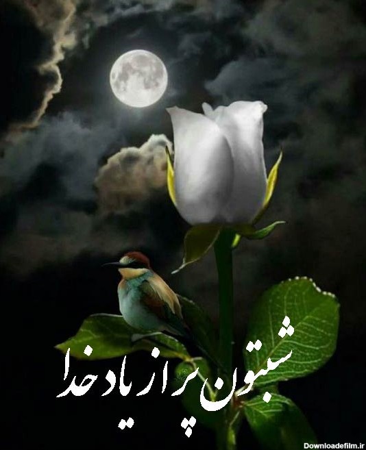 عکس های شب بخیر