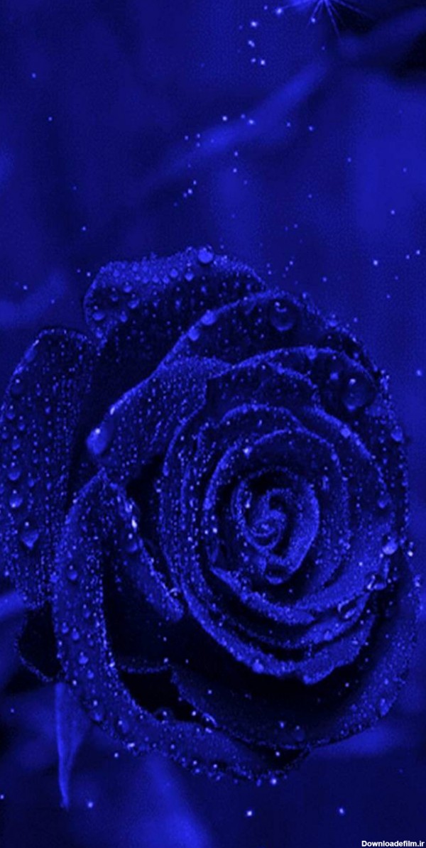 تصویر زمینه گل آبی