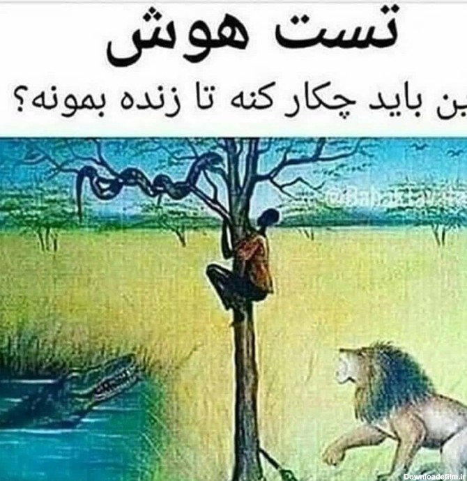 عکس شیر و مار