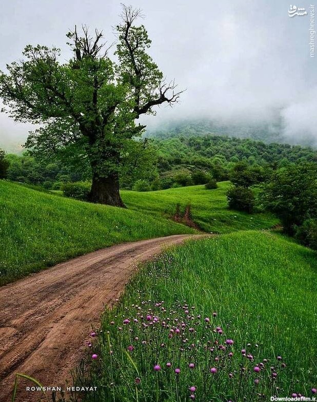 عکس شمال ایران رشت