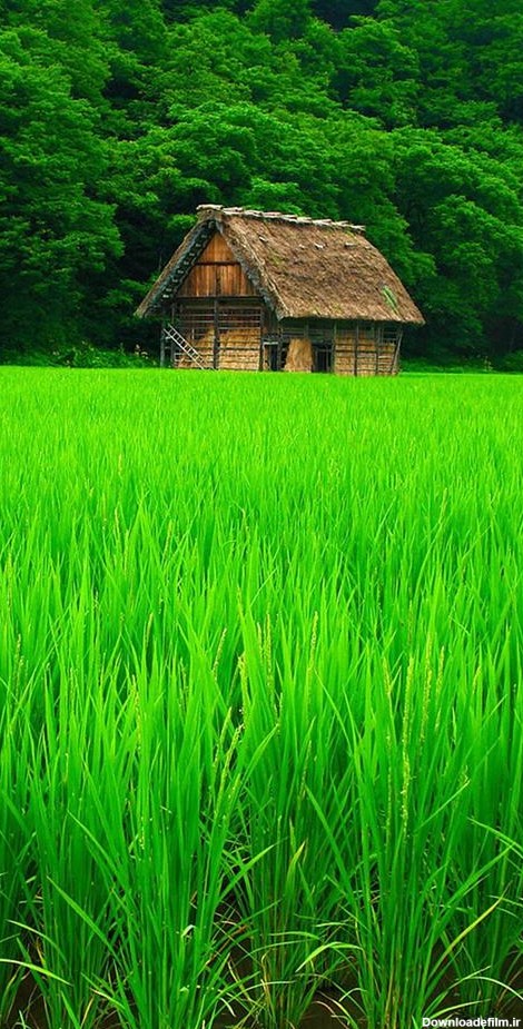 عکس های زمینه طبیعت