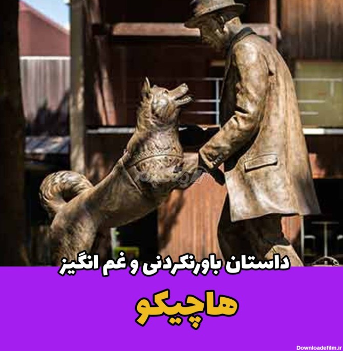 عکس نوشته سگ وفادار