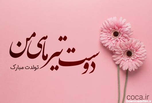 عکس تولد رفیق تیر ماهی