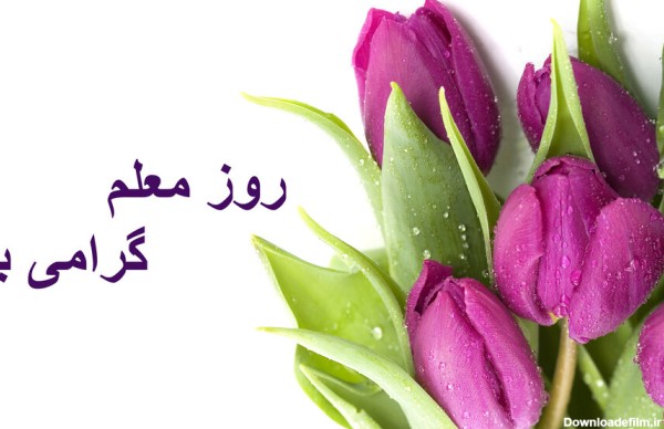 عکس نوشته شعر روز معلم