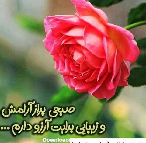 عکس های زیبای صبح