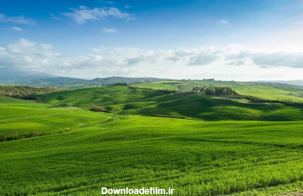عکس چمن برای ادیت