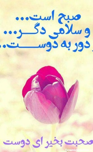 عکس نوشته سلام رفیق