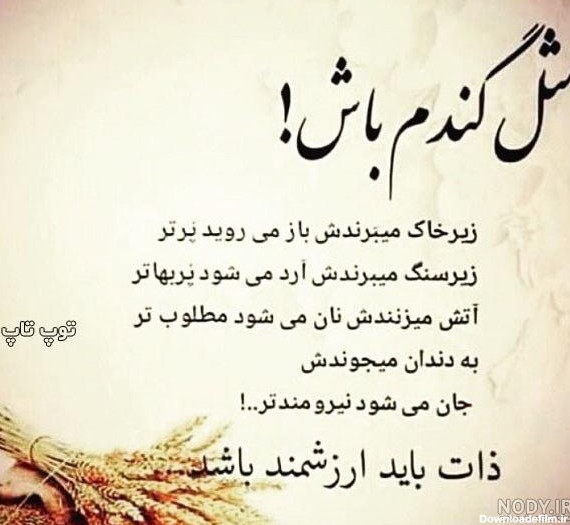 عکس نوشته ذات پاک