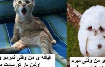 عکس خنده دار و جالب جدید