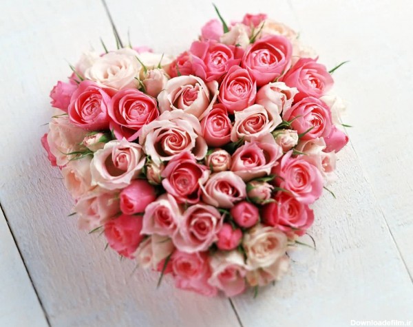 عکس قلب واقعی برای پروفایل