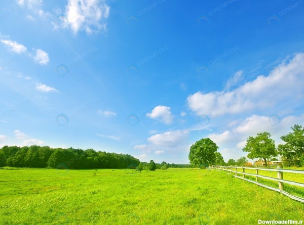 عکس چمن برای ادیت