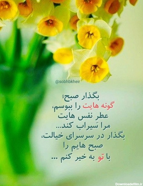 عکس سلام سلام صبح بخیر