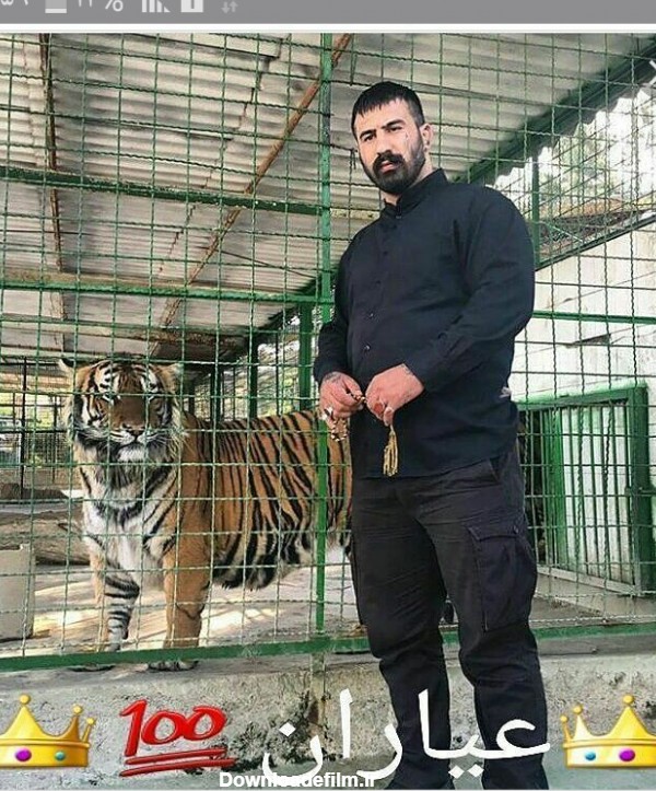 عقاب عکس وحید مرادی برای پروفایل