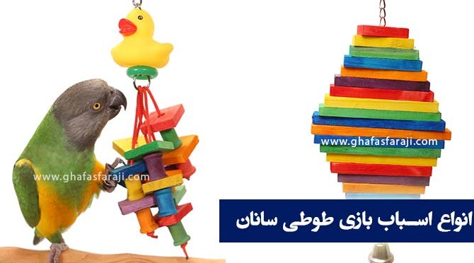 عکس اسباب بازی طوطی