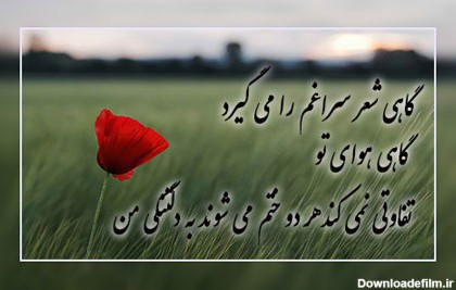 عکس نوشته گل دلتنگی