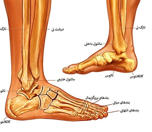 عکس مچ پا سالم